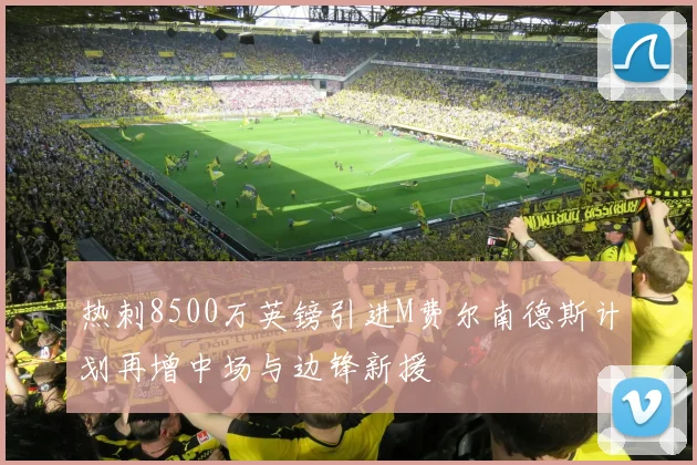 热刺8500万英镑引进M费尔南德斯计划再增中场与边锋新援